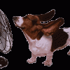 Hot Summer Products Summer at Maclocks