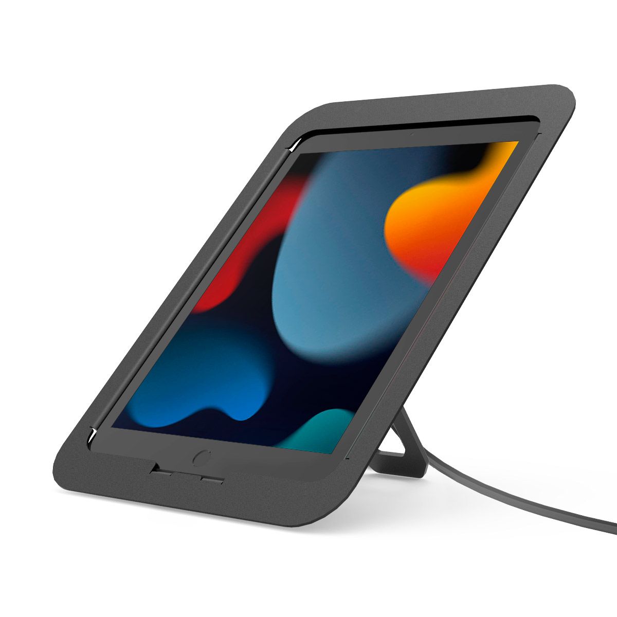 Ipad security case with lock sales