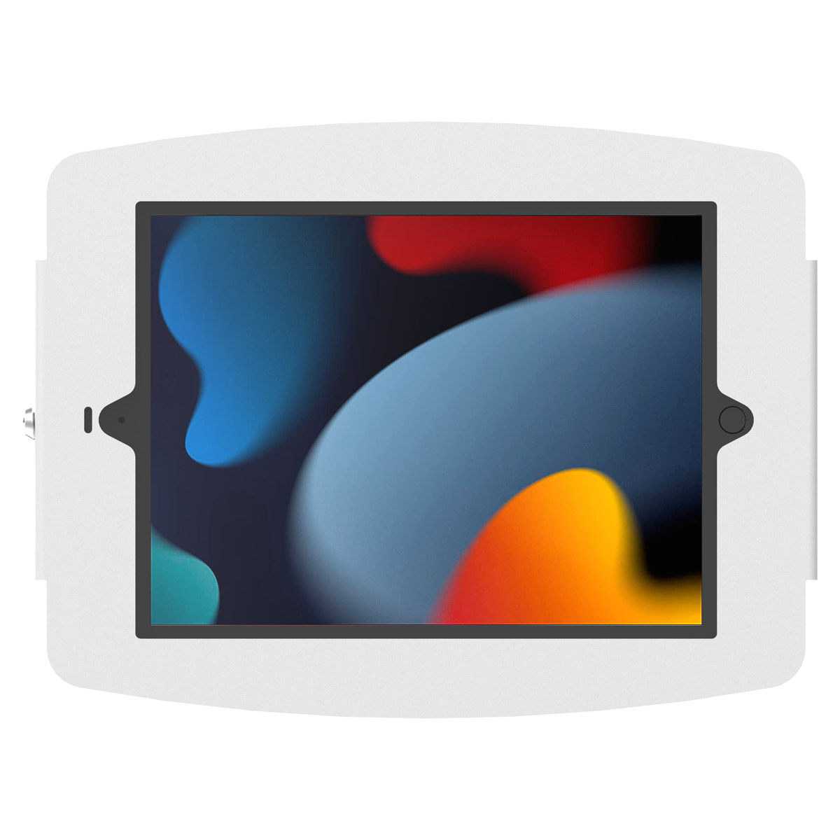 Space Apple iPad Enclosure Wall Mount
